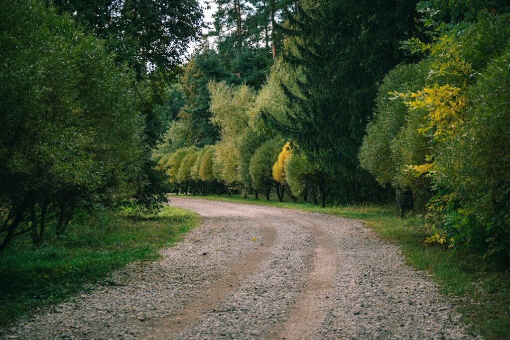 How Much Gravel Do I Need for a Driveway? (2026 Calculator & Volume Guide)