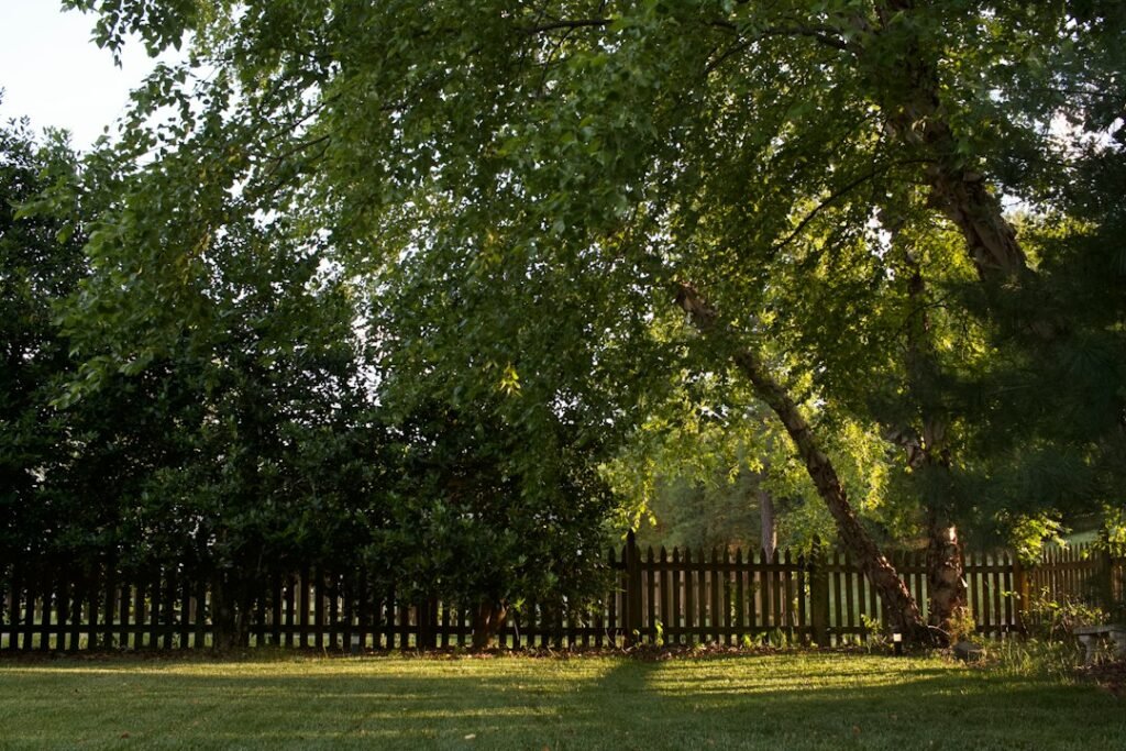 Wood Fence Cost Guide 2026: Material, Labor, and Installation Prices